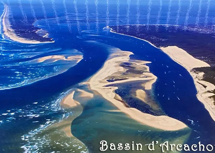 D'hotes Du Bassin Les Bains Bed & Breakfast Andernos-les-Bains
